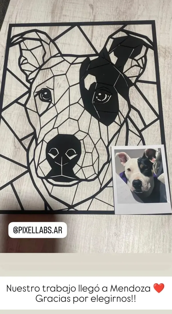 Retrato de un perro junto a la foto original, enviado a la provincia de Mendoza
