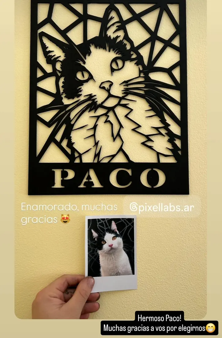 Captura de un cliente con el cuadro del gato Paco junto a la foto original